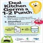 Free Deal Kitchen Germs a 1-2 Punch